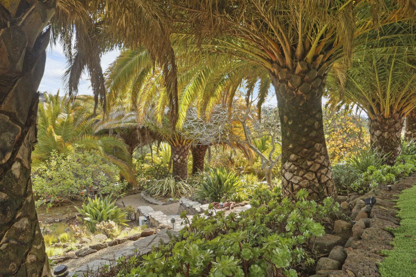 3571 Star Ridge Road Hayward, CA 94542 - Photo 64 of 66