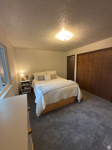 1164 East Mountain Road Logan, UT 84321 - Photo 34 of 45 Plush gray carpeting underfoot