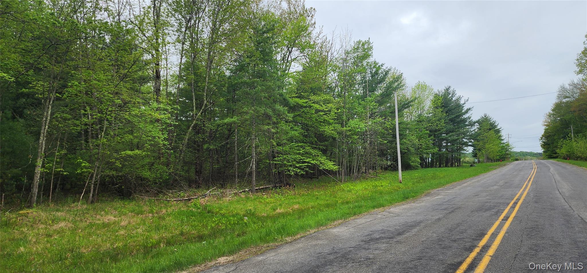 42 Concord Road Monticello, NY 12701 - Photo 11 of 12