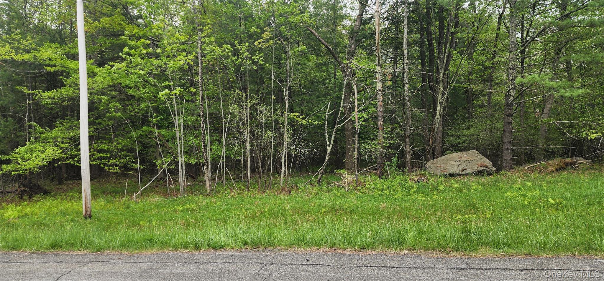 42 Concord Road Monticello, NY 12701 - Photo 12 of 12 a view of a garden