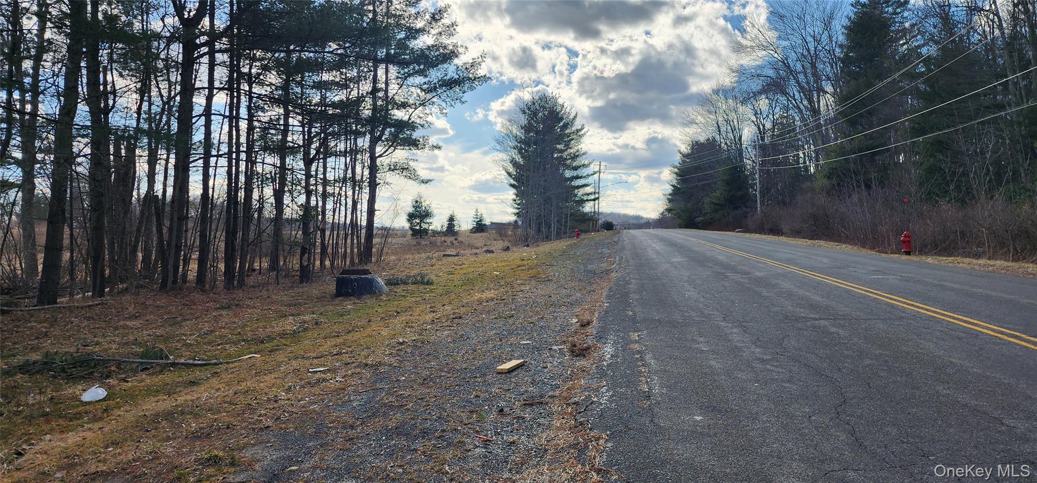 42 Concord Road Monticello, NY 12701 - Photo 2 of 12 a backyard of a house with lots of green space