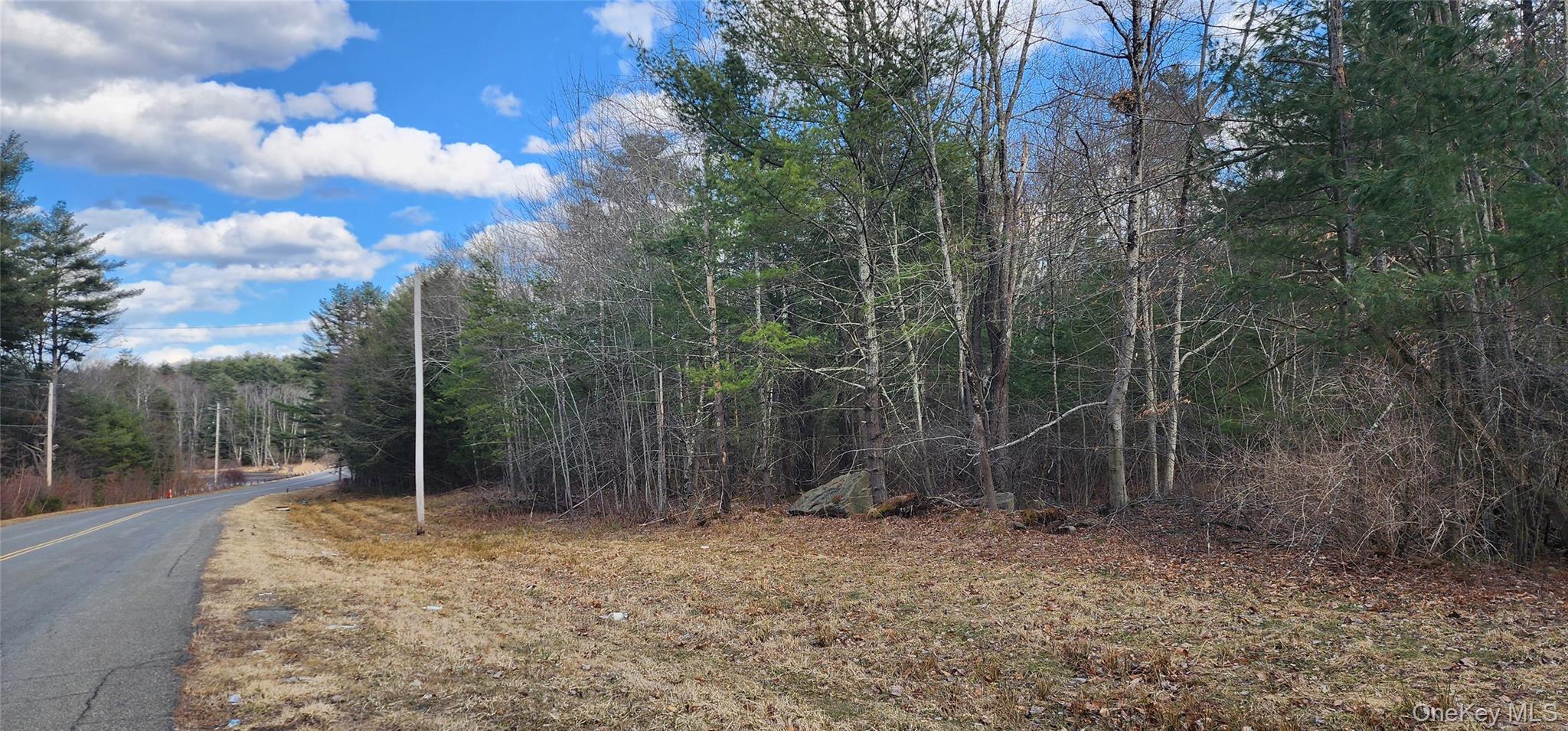 42 Concord Road Monticello, NY 12701 - Photo 3 of 12 a backyard of a house with lots of green space