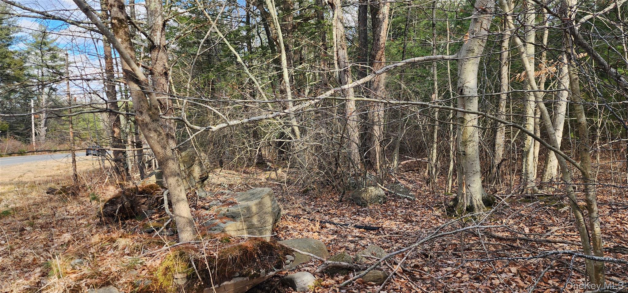 42 Concord Road Monticello, NY 12701 - Photo 9 of 12 a view of a yard of the house