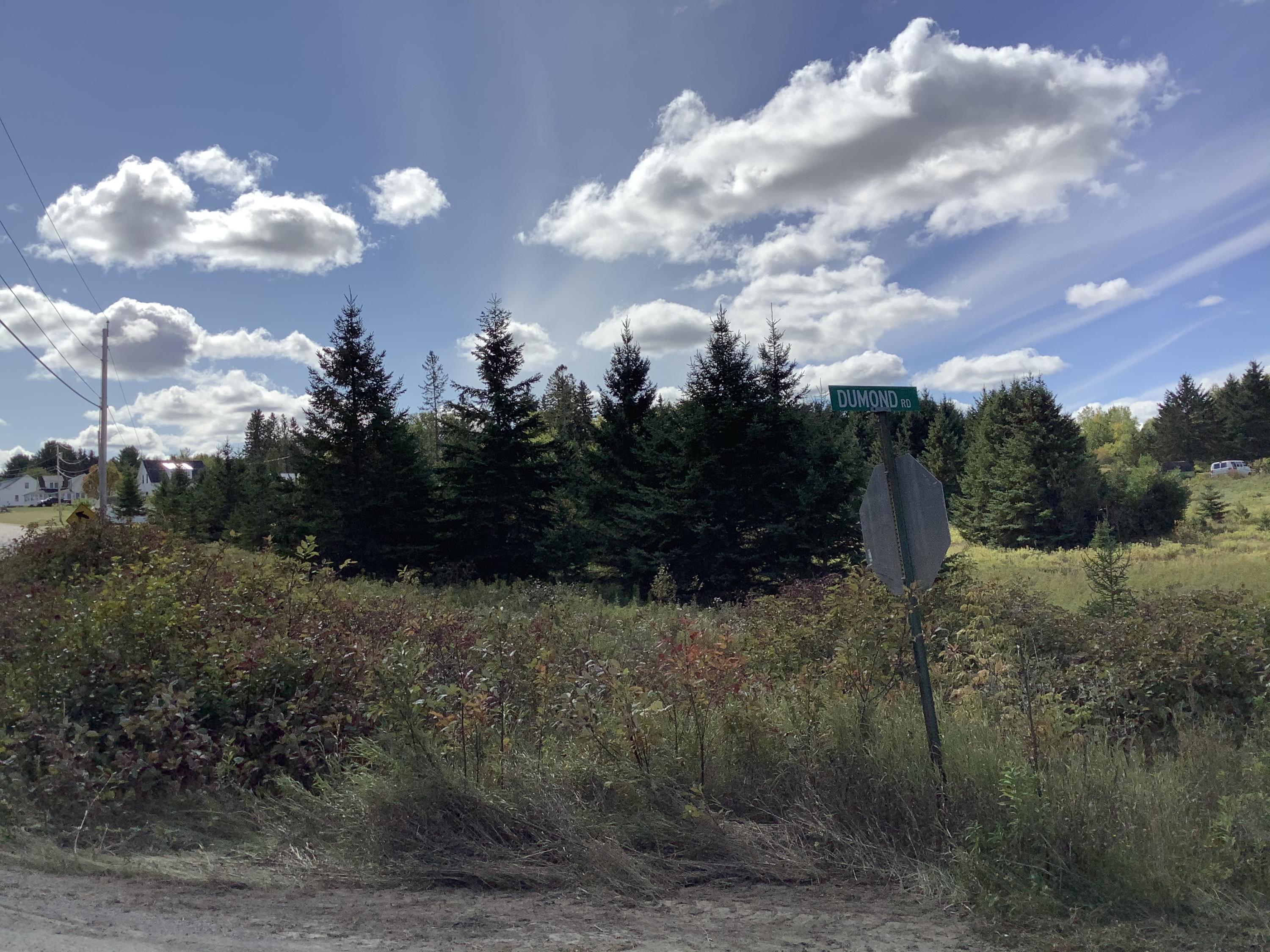 0 Dumond Road Fort Fairfield, ME 04742 - Photo 10 of 13 DFF7CDD1-2BE2-47B9-9B1B-6F190425372F