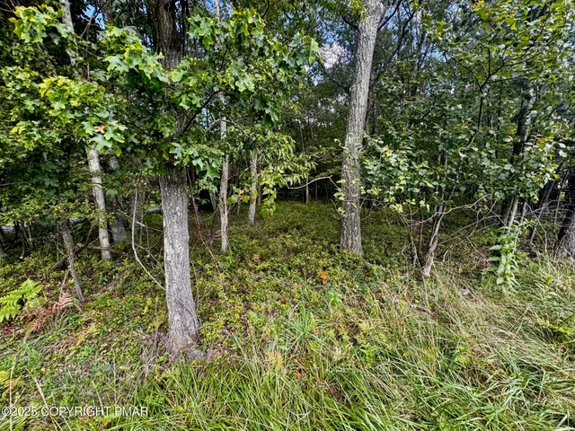 a backyard of a building with lots of plants