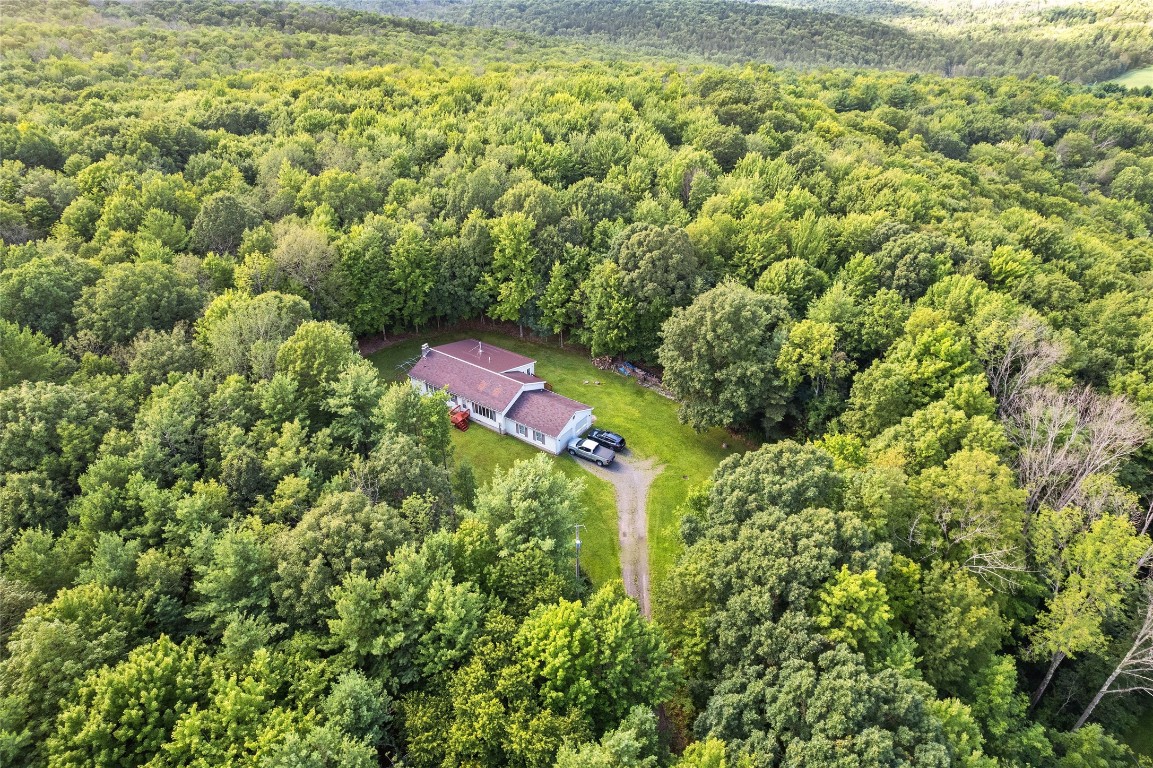 1835 Dutchtown Road Endicott, NY 13760 - Photo 1 of 31 Gallery Image 1