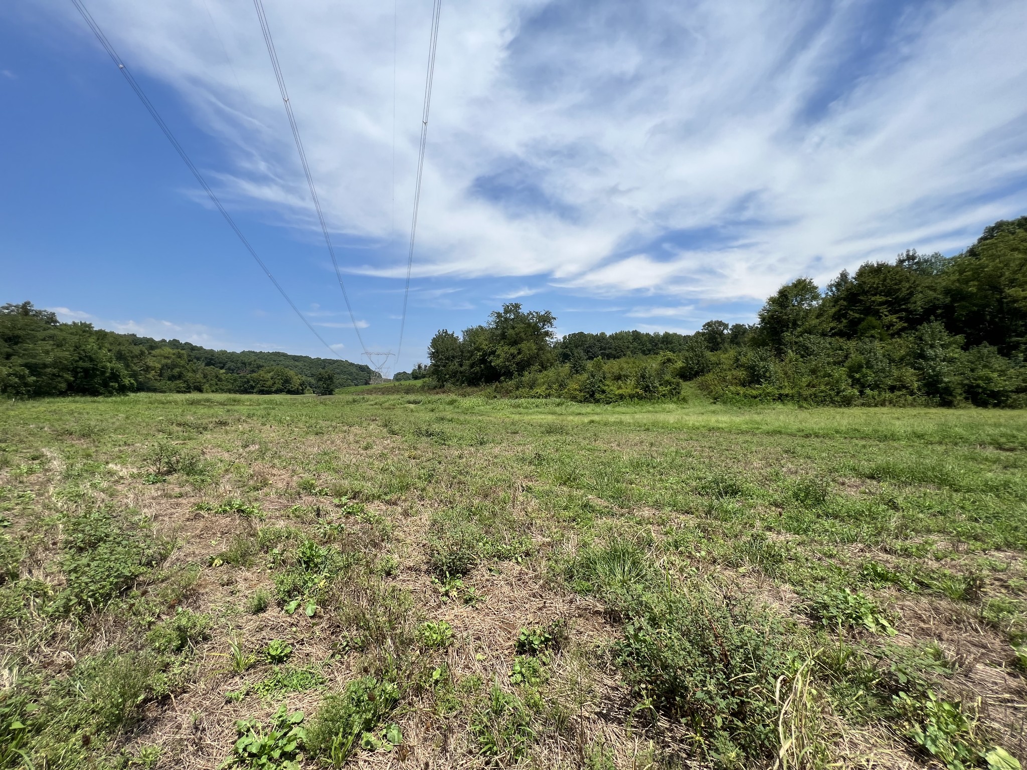 3179 Lewis Branch Road Tennessee Ridge, TN 37178 - Photo 54 of 57 a view of a field with an trees in front of it