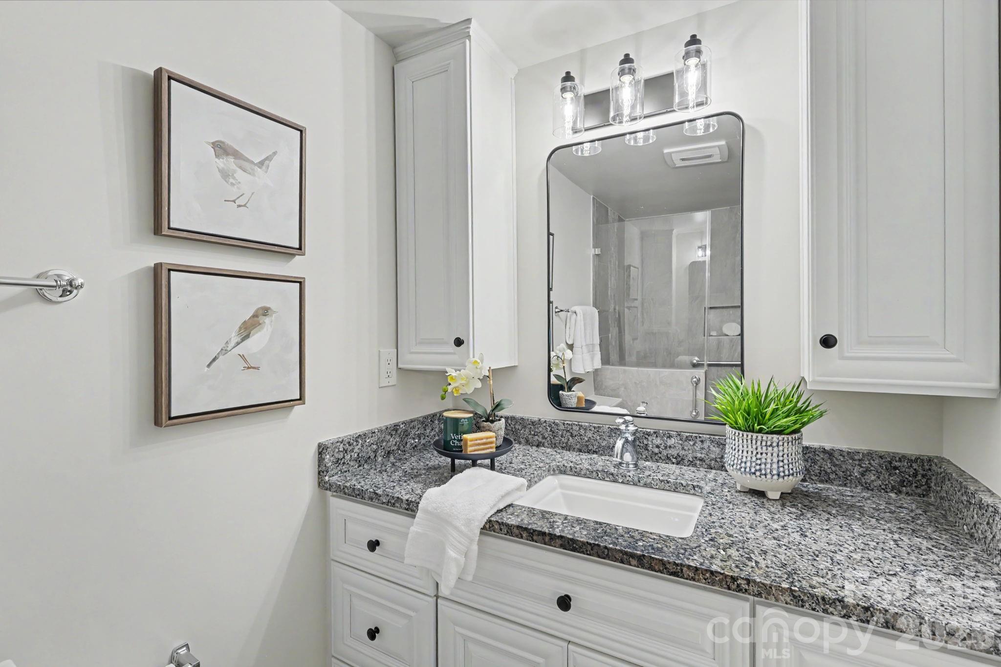 10106 Fairway Ridge Road Charlotte, NC 28277 - Photo 29 of 47 Gallery Image 29