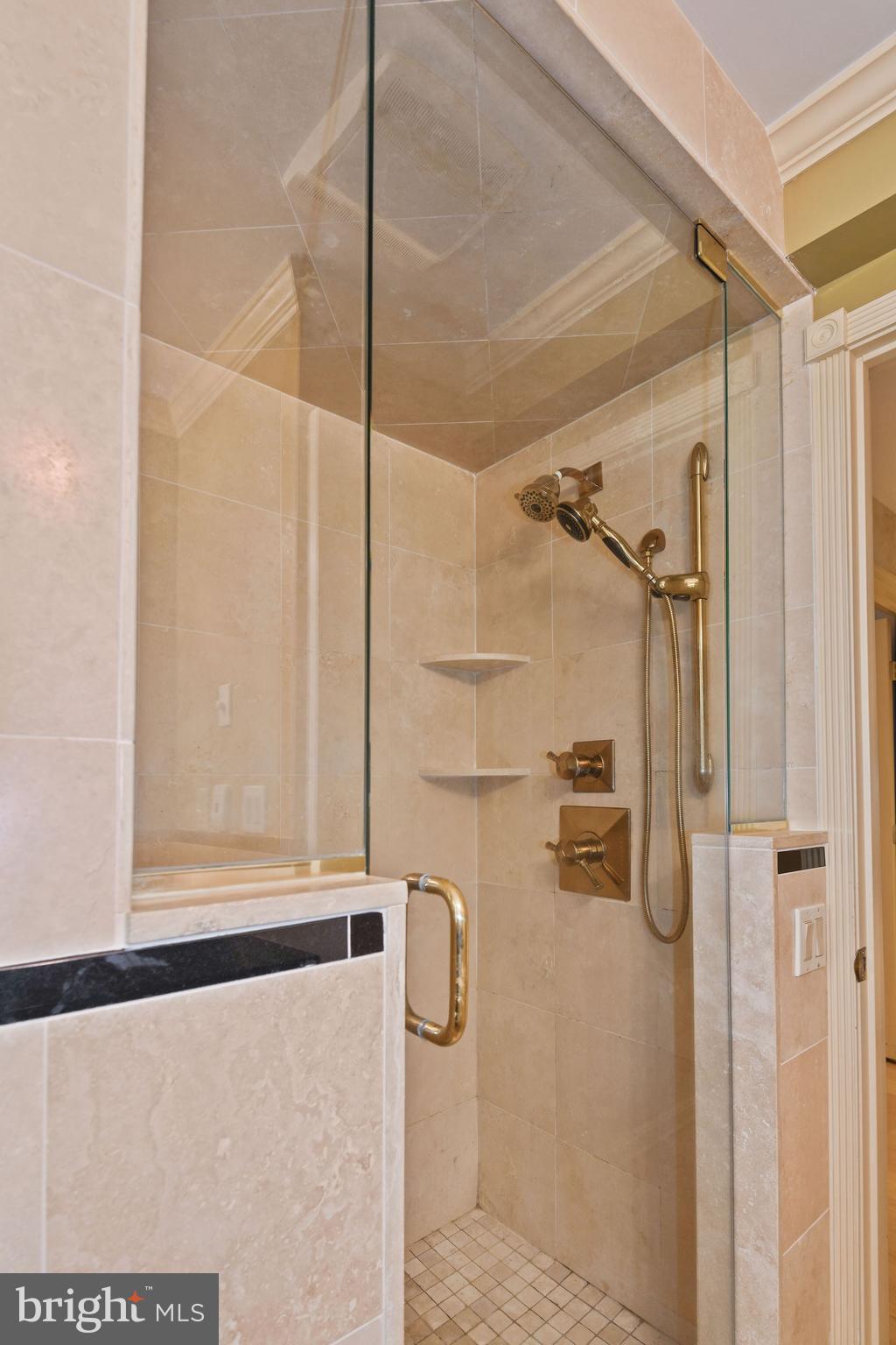 13817 Cuba Road Cockeysville, MD 21030 - Photo 31 of 67 A shower, too