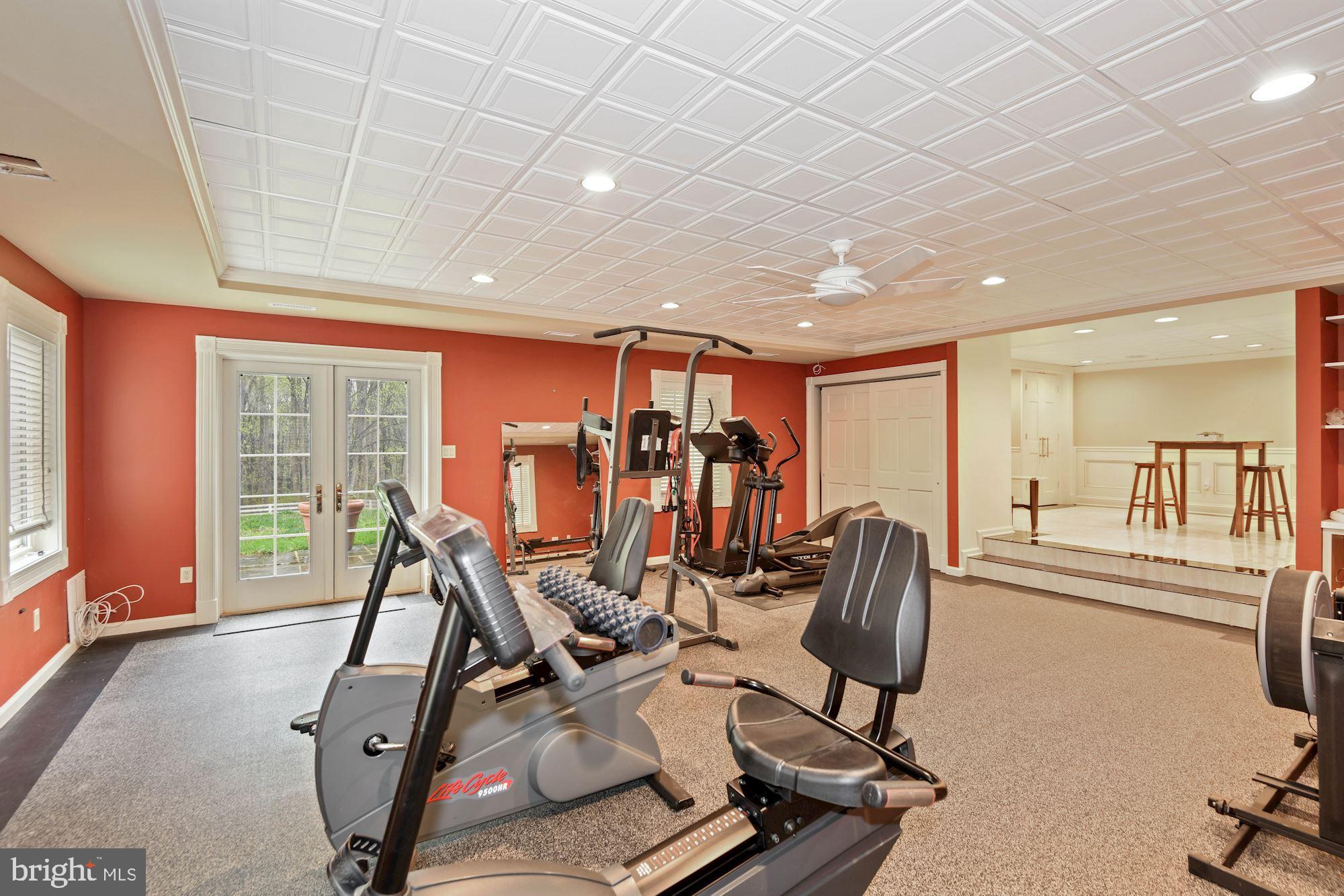 13817 Cuba Road Cockeysville, MD 21030 - Photo 46 of 67 Great light, rubber flooring, space for everything