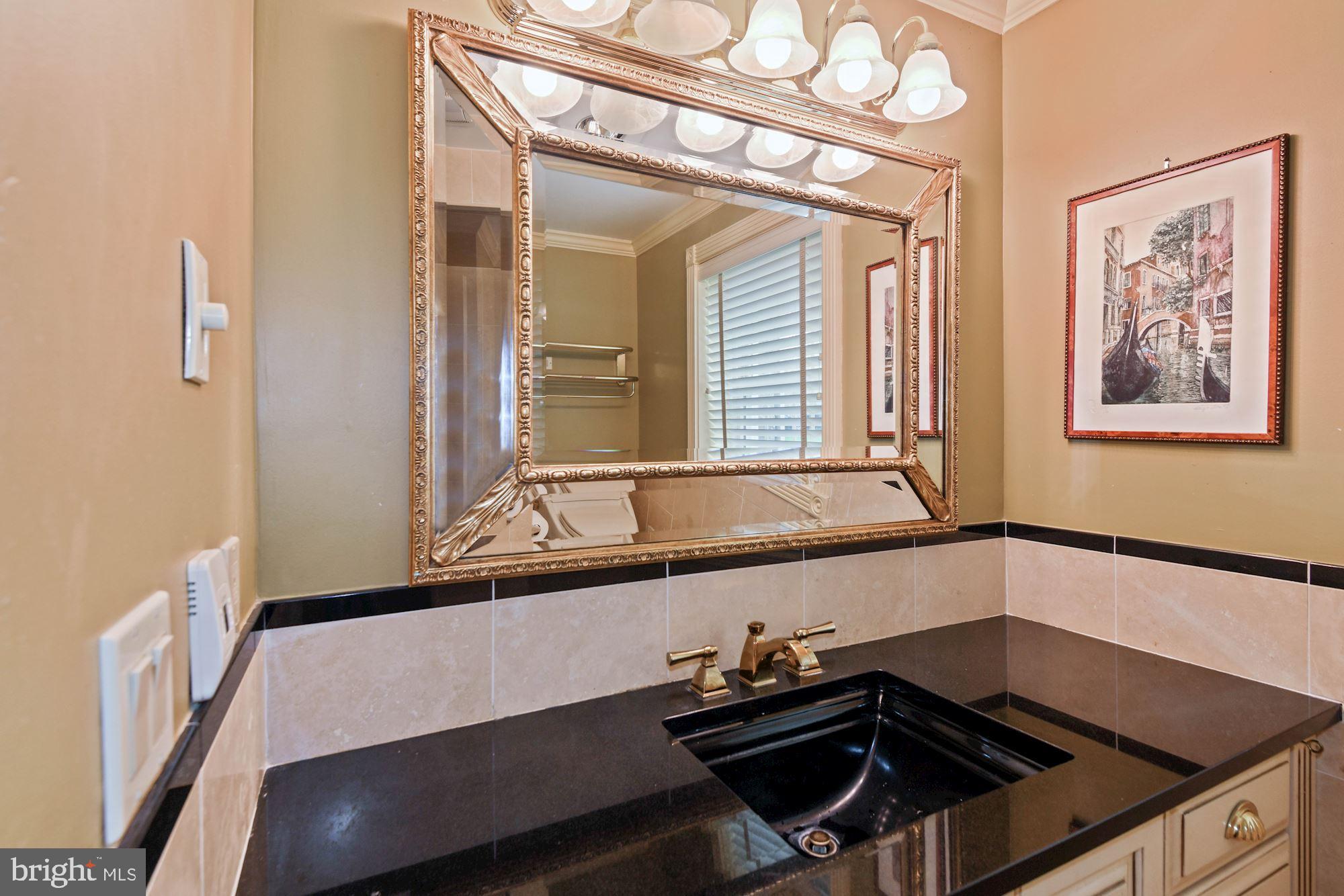 13817 Cuba Road Cockeysville, MD 21030 - Photo 49 of 67 Gorgeous full bath - lower level