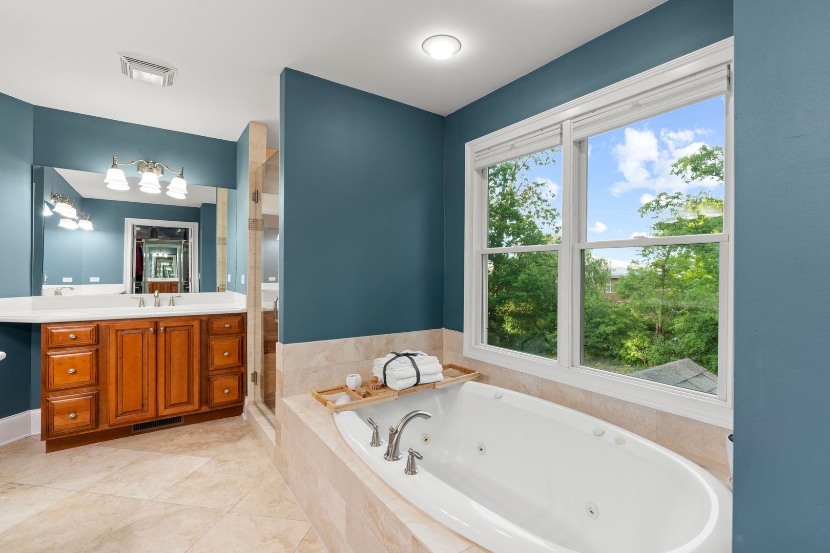 106 Forest View Drive Lake Bluff, IL 60044 - Photo 38 of 56 a bathroom with a tub a sink and a large mirror