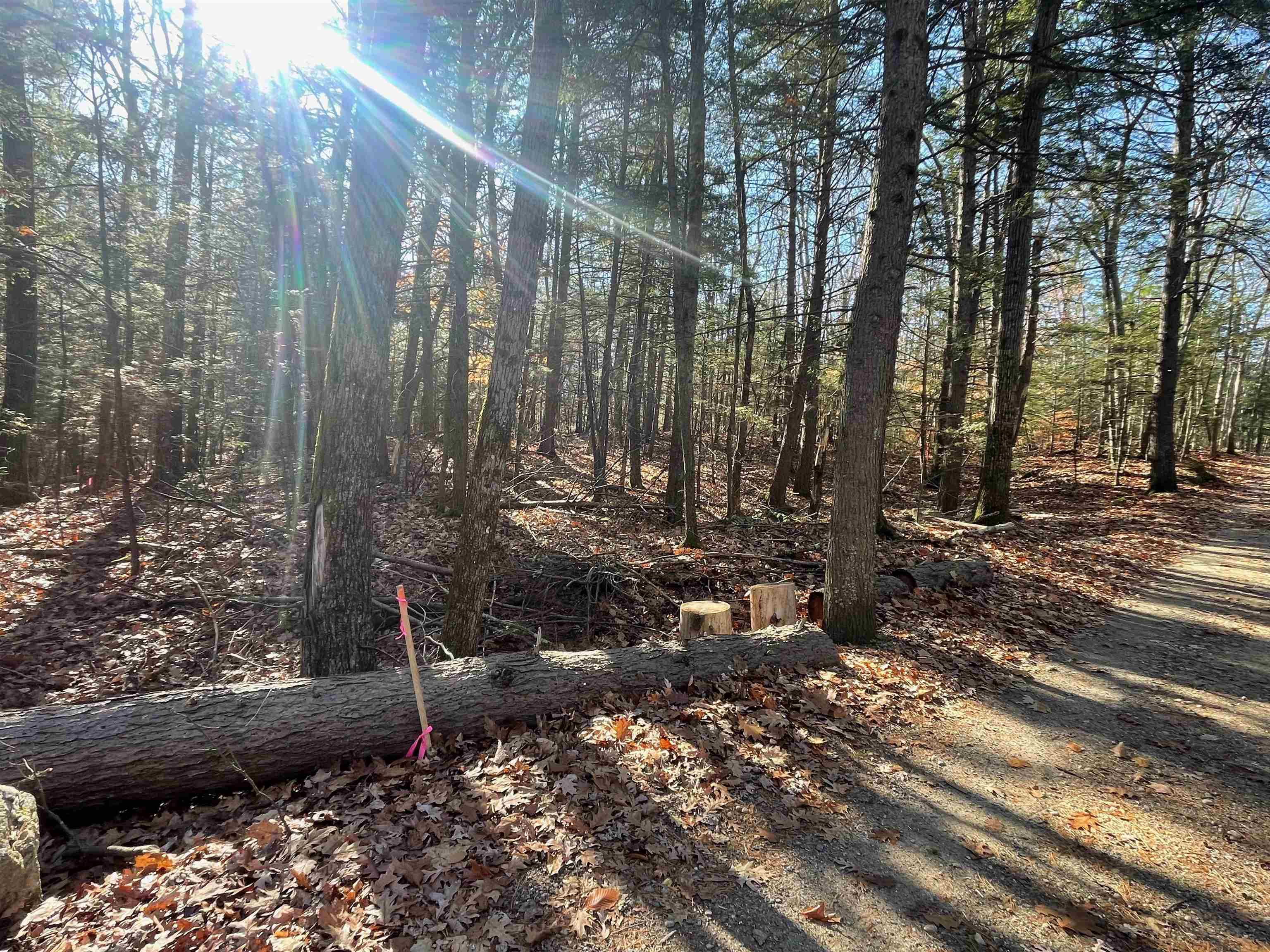 Lot 70-86 Tuckaway Shores Road Nottingham, NH 03290 - Photo 17 of 24 Gallery Image 17