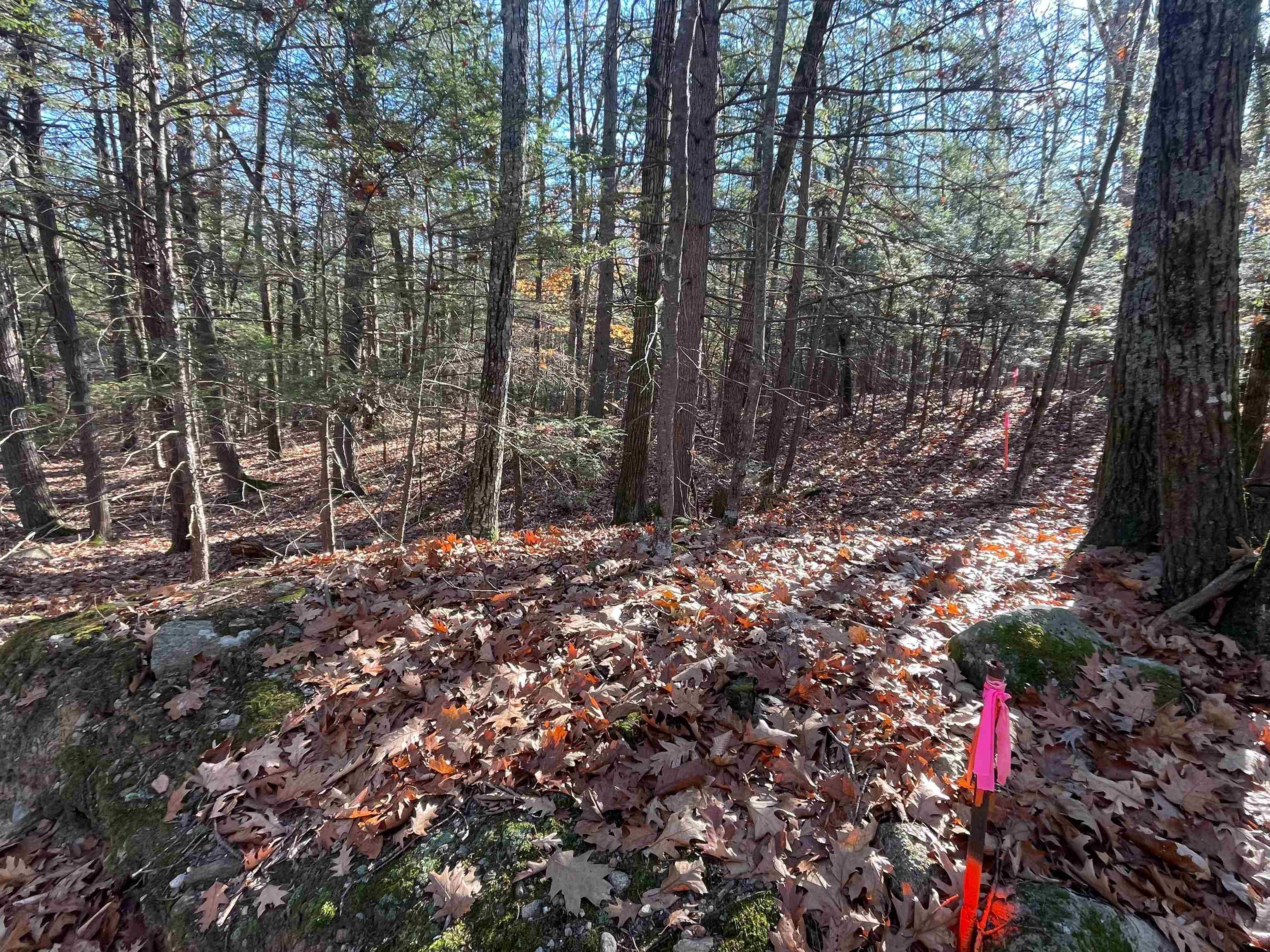 Lot 70-86 Tuckaway Shores Road Nottingham, NH 03290 - Photo 19 of 24 Gallery Image 19