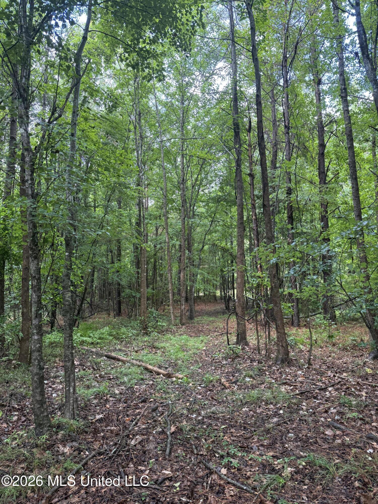 2136 Co Road McCool, MS 39108 - Photo 12 of 29 IMG_5898