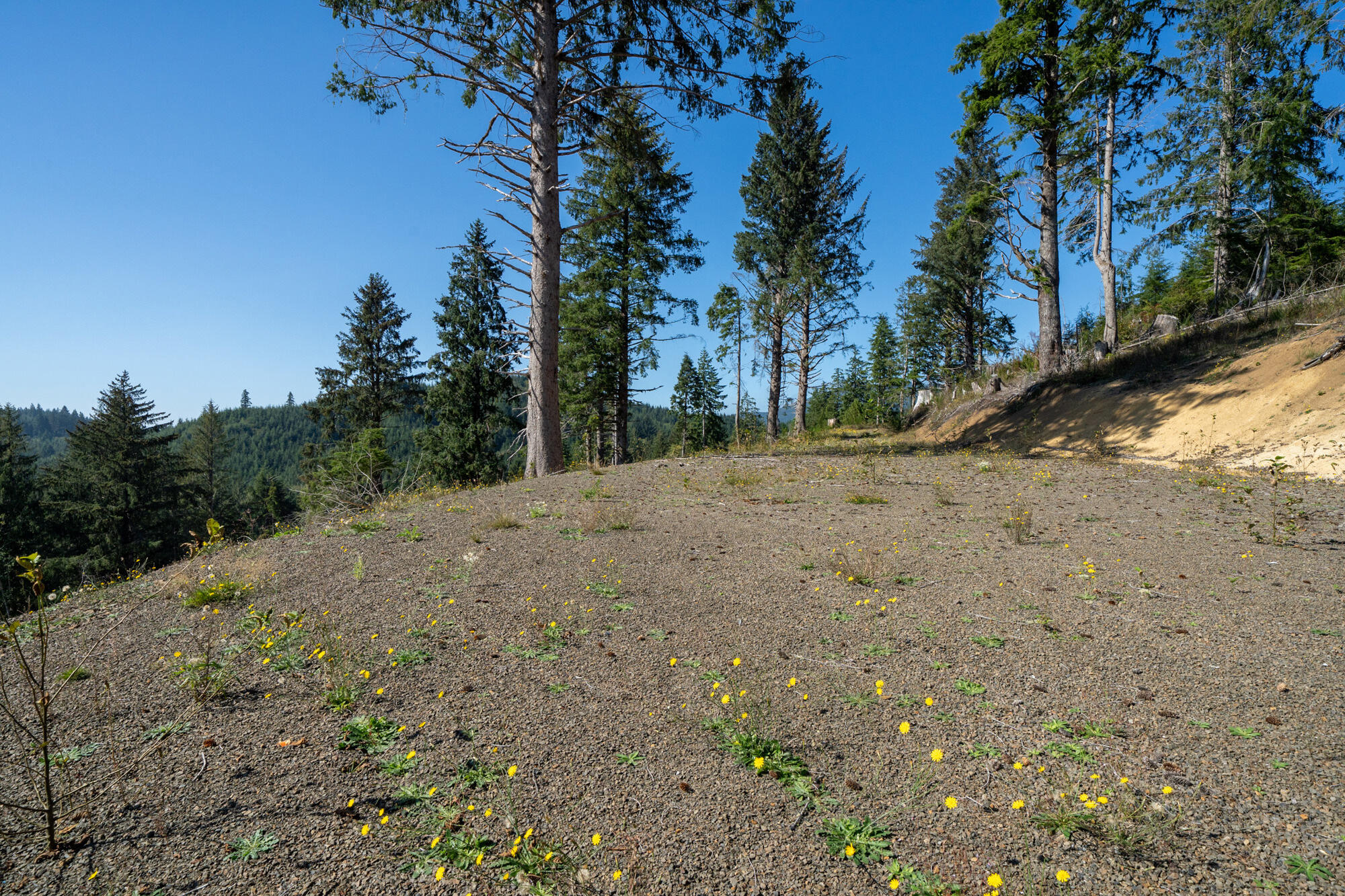 1207 Sandlake Road Cloverdale, OR 97112 - Photo 9 of 33 Flat Building Site