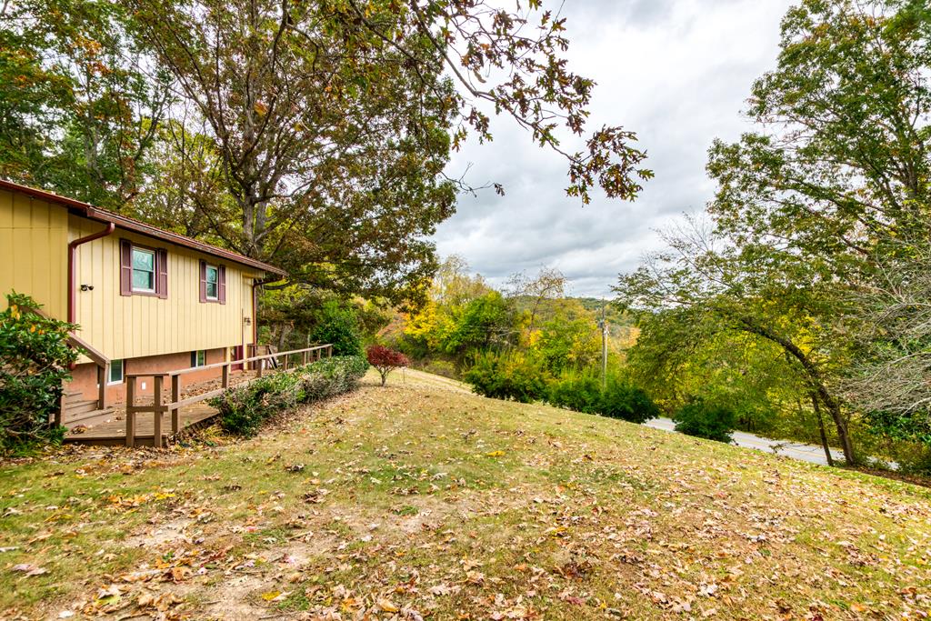551 Major Grahams Road Max Meadows, VA 24360 - Photo 6 of 35 Gallery Image 6