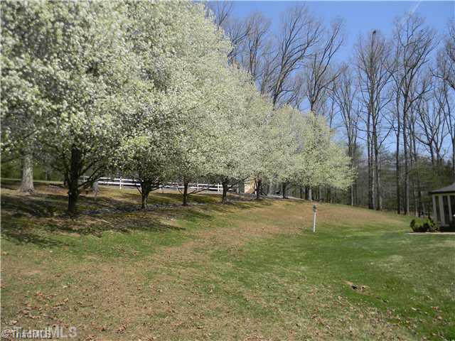 180 South Old Quarry Road Elkin, NC 28621 - Photo 15 of 16 Landscaping.