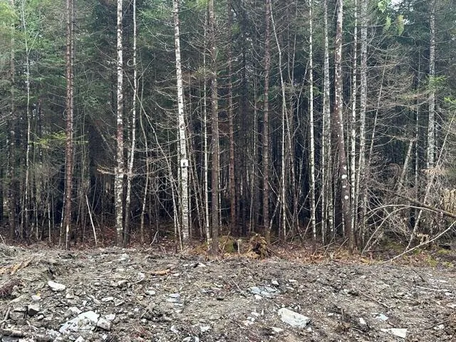 $62,500 | Lot I South Lot I S Whitetail Way, Greenville, ME 04441