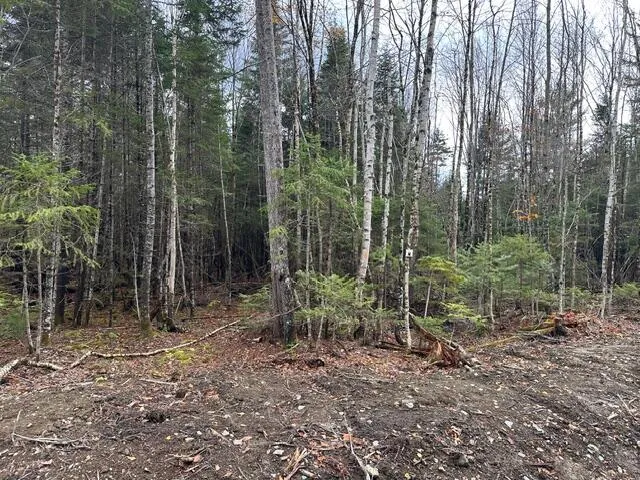 $62,500 | Lot I South Lot I S Whitetail Way, Greenville, ME 04441