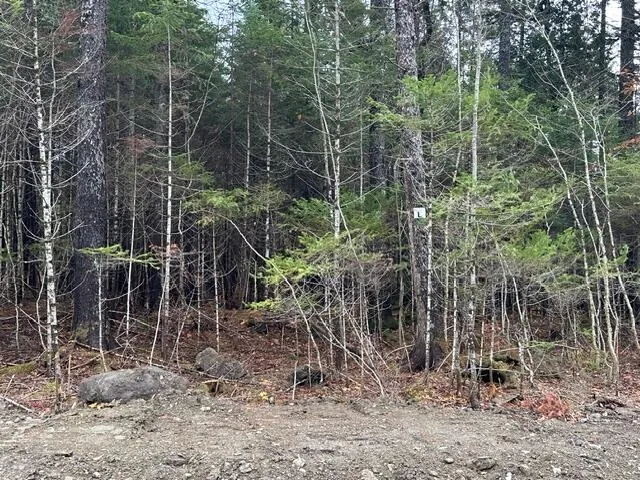 $62,500 | Lot I South Lot I S Whitetail Way, Greenville, ME 04441