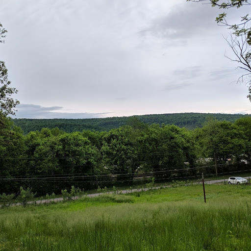 9226 Daisy Dallas Road Soddy Daisy, TN 37379 - Photo 1 of 15 IMG_20190425_201202