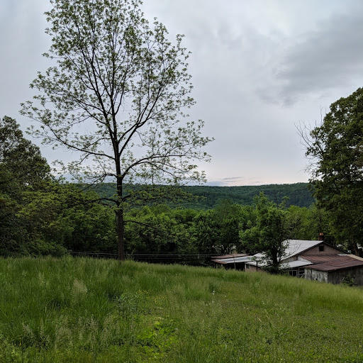 9226 Daisy Dallas Road Soddy Daisy, TN 37379 - Photo 4 of 15 11