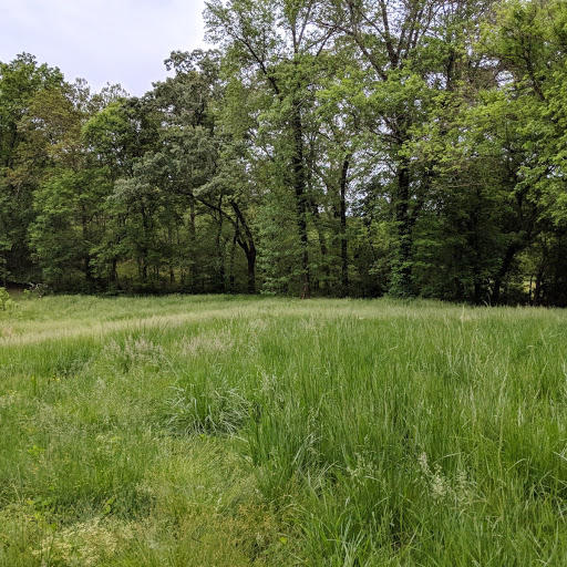 9226 Daisy Dallas Road Soddy Daisy, TN 37379 - Photo 5 of 15 2
