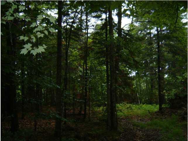 156 Wilton Road Chesterville, ME 04938 - Photo 9 of 14 Land/Lot.