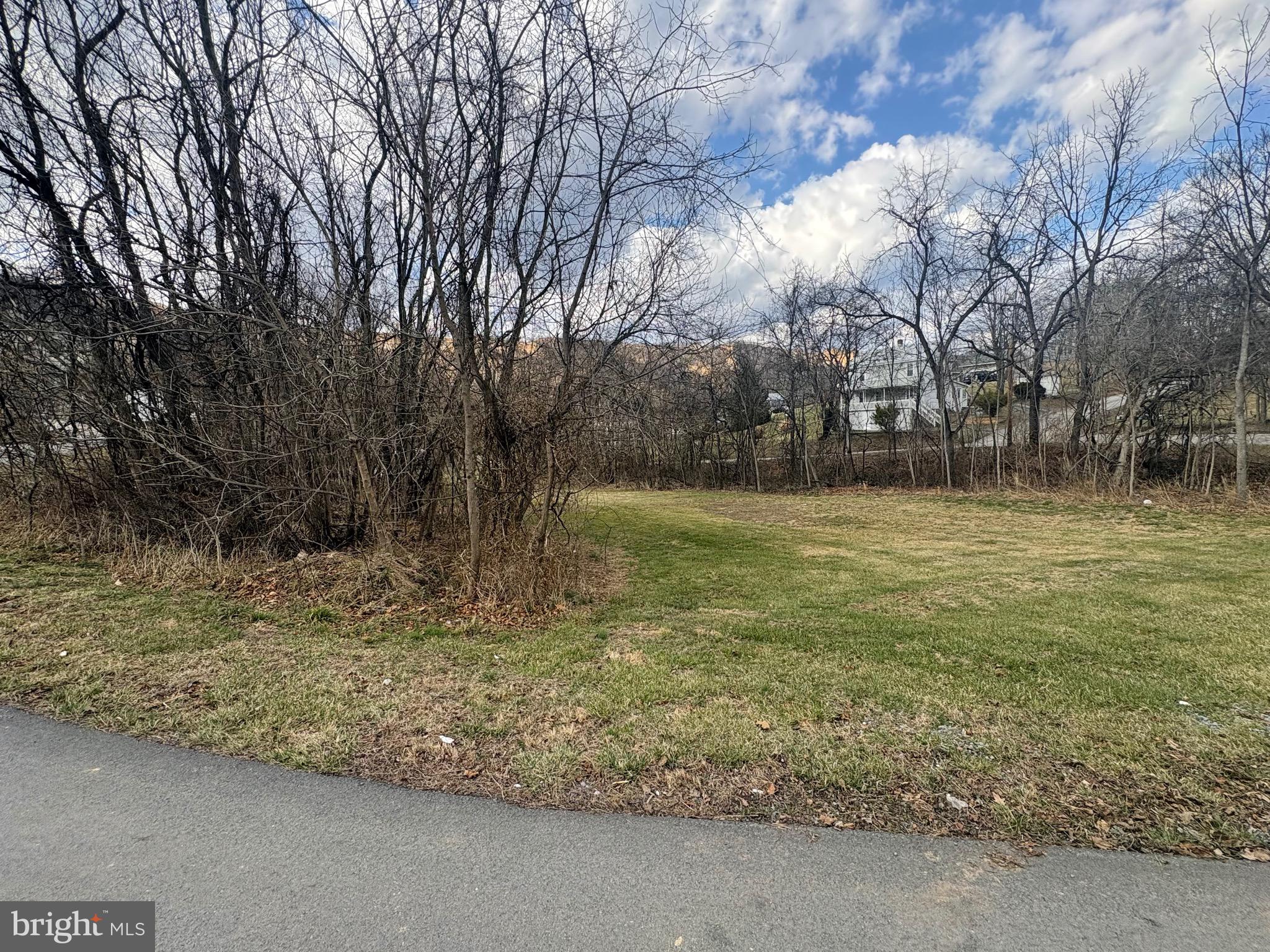 164 Jimtown Road Berkeley Springs, WV 25411 - Photo 2 of 15 a view of a yard with a tree