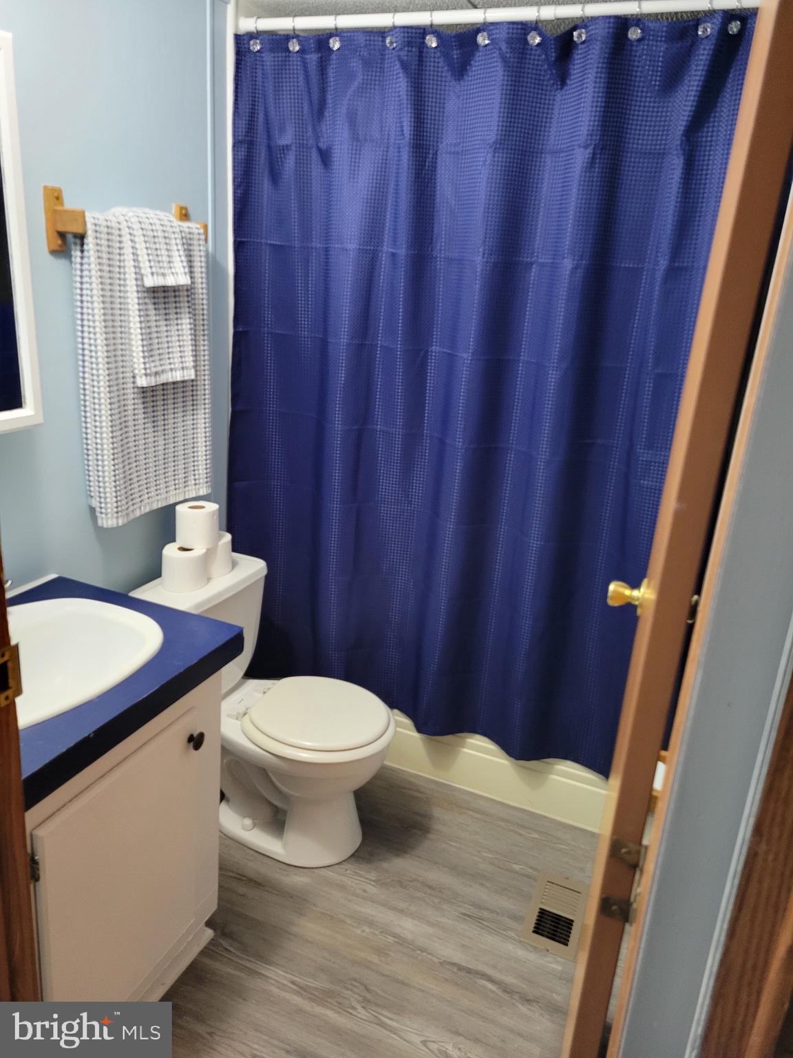 164 Jimtown Road Berkeley Springs, WV 25411 - Photo 8 of 15 a bathroom with a sink a toilet and shower curtain