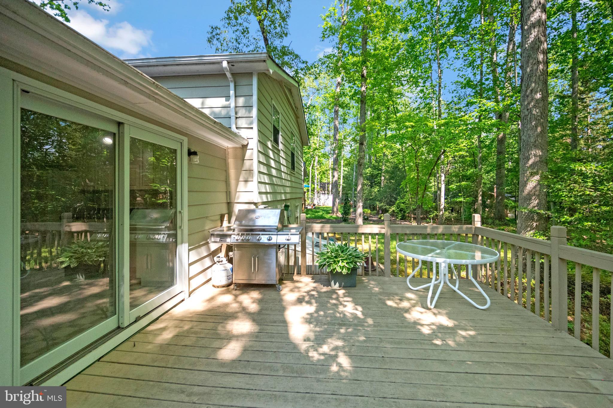 115 Washington Street Locust Grove, VA 22508 - Photo 2 of 40 deck overlook