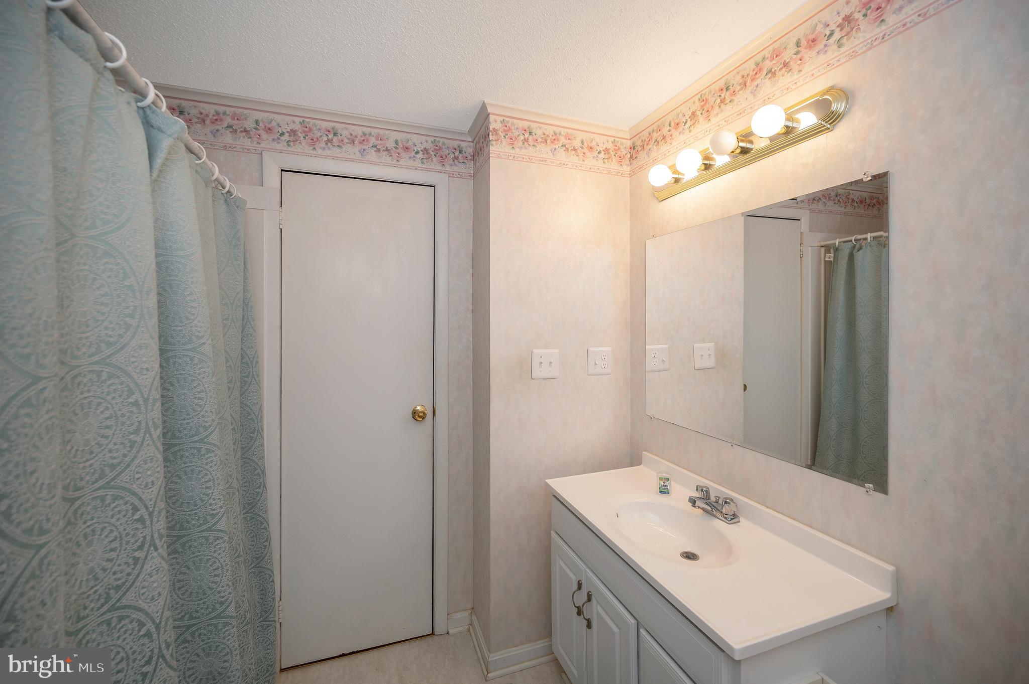 115 Washington Street Locust Grove, VA 22508 - Photo 26 of 40 hall bath