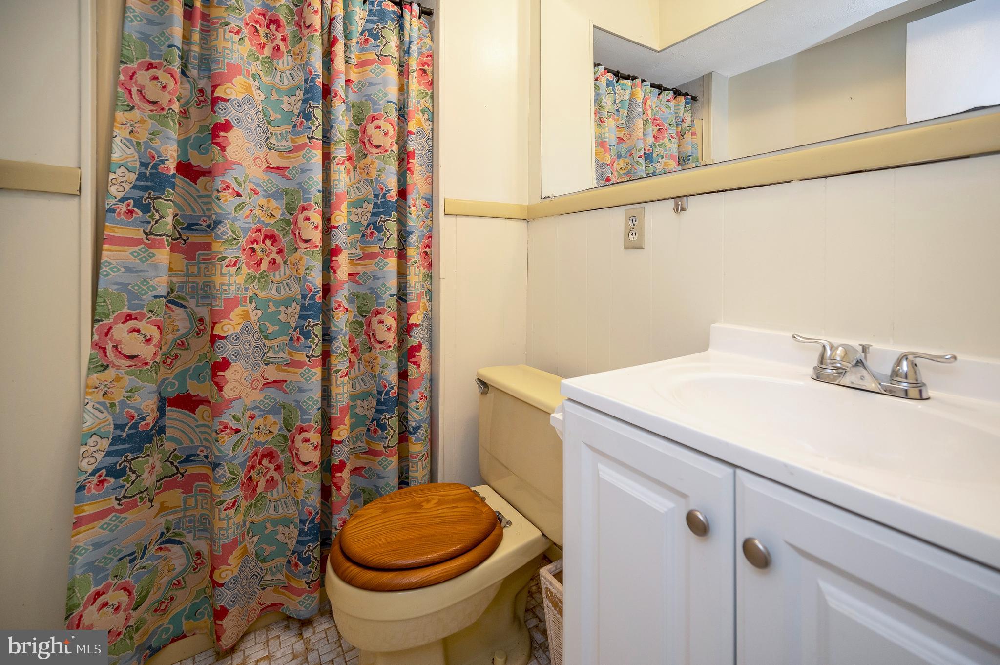 115 Washington Street Locust Grove, VA 22508 - Photo 32 of 40 lower bath