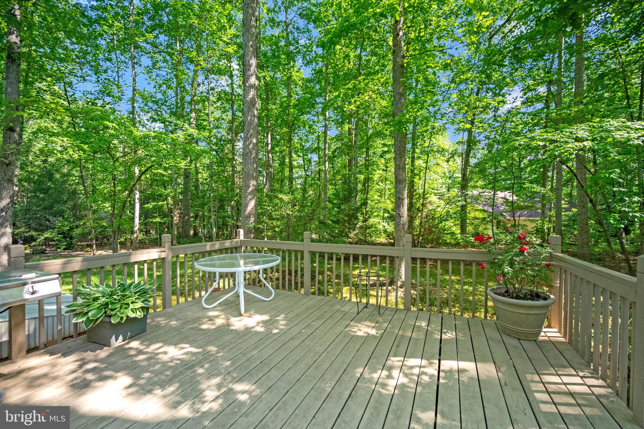 115 Washington Street Locust Grove, VA 22508 - Photo 34 of 40 outdoor living deck