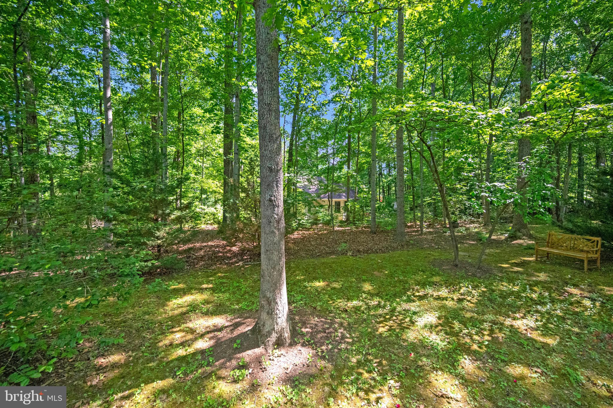 115 Washington Street Locust Grove, VA 22508 - Photo 35 of 40 wooded backyard
