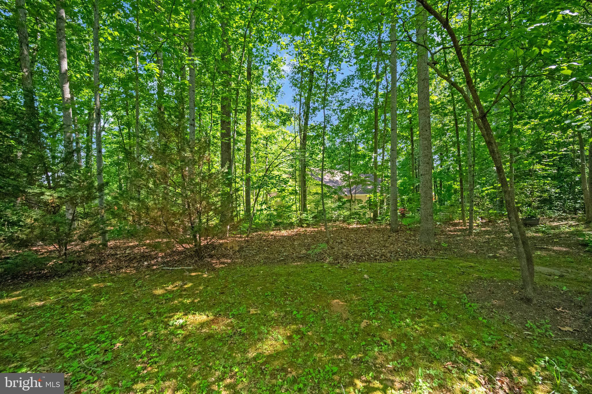 115 Washington Street Locust Grove, VA 22508 - Photo 36 of 40 backyard view