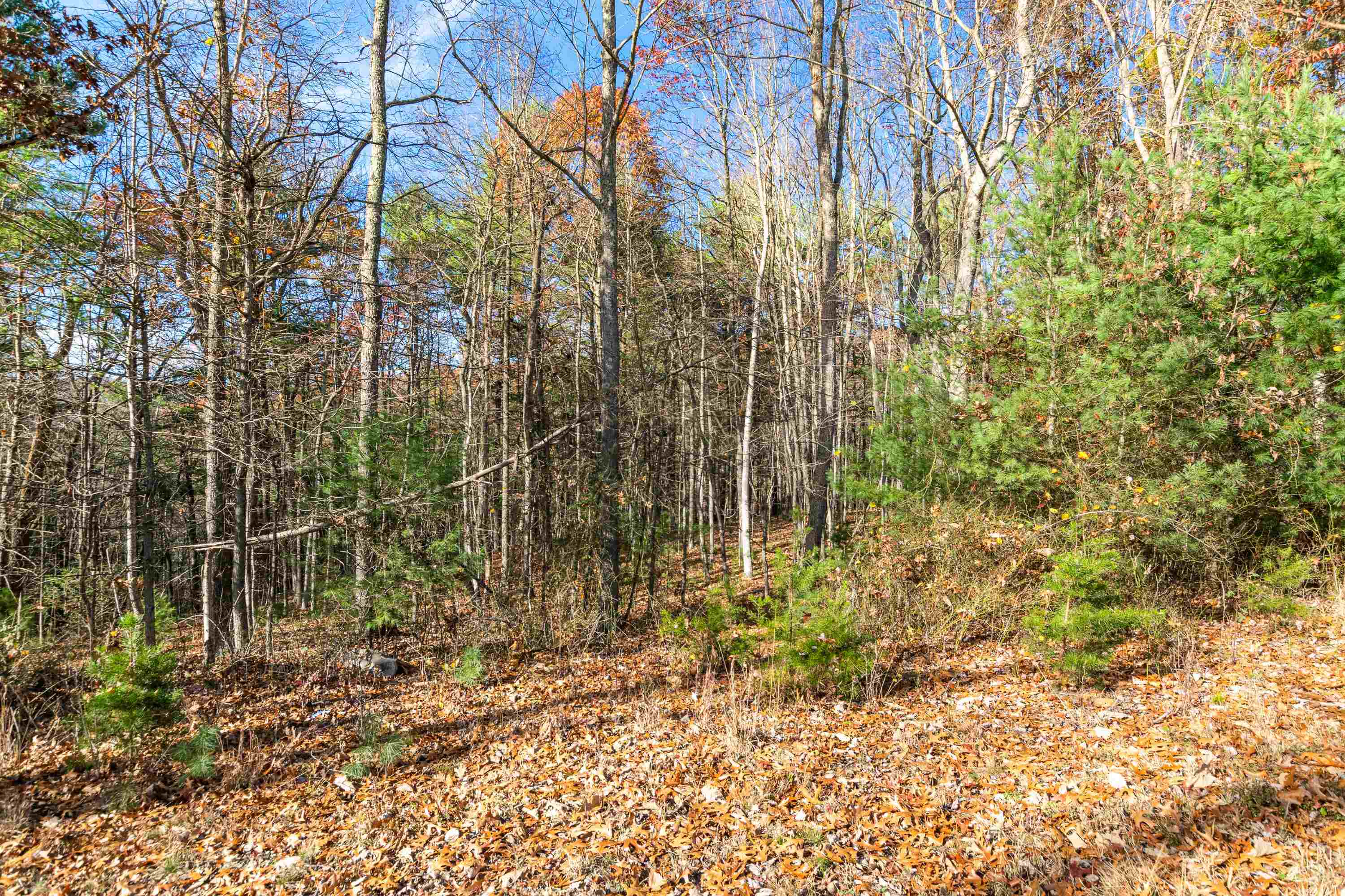 Tbd McCoy Road Blacksburg, VA 24060 - Photo 17 of 24 Gallery Image 17