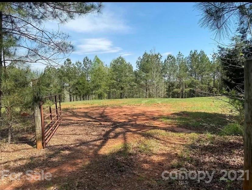 1585 Old Pinckney Road York, SC 29745 - Photo 1 of 24 a view of a yard with an trees