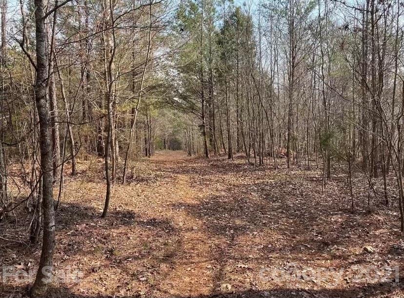 1585 Old Pinckney Road York, SC 29745 - Photo 11 of 24 a view of open space with green space
