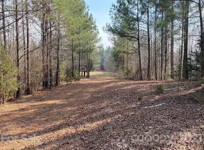 1585 Old Pinckney Road York, SC 29745 - Photo 12 of 24 a backyard of a house with lots of green space