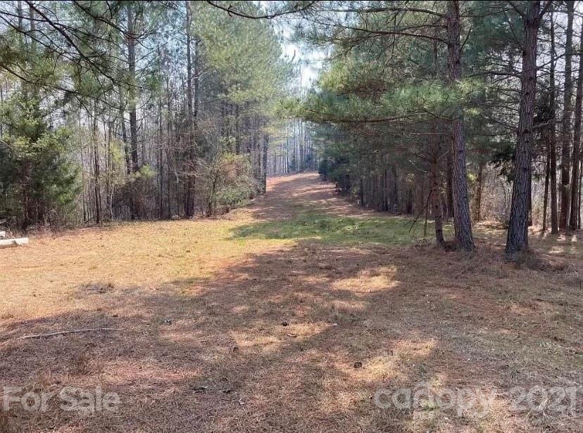 1585 Old Pinckney Road York, SC 29745 - Photo 13 of 24 a view of a yard with trees