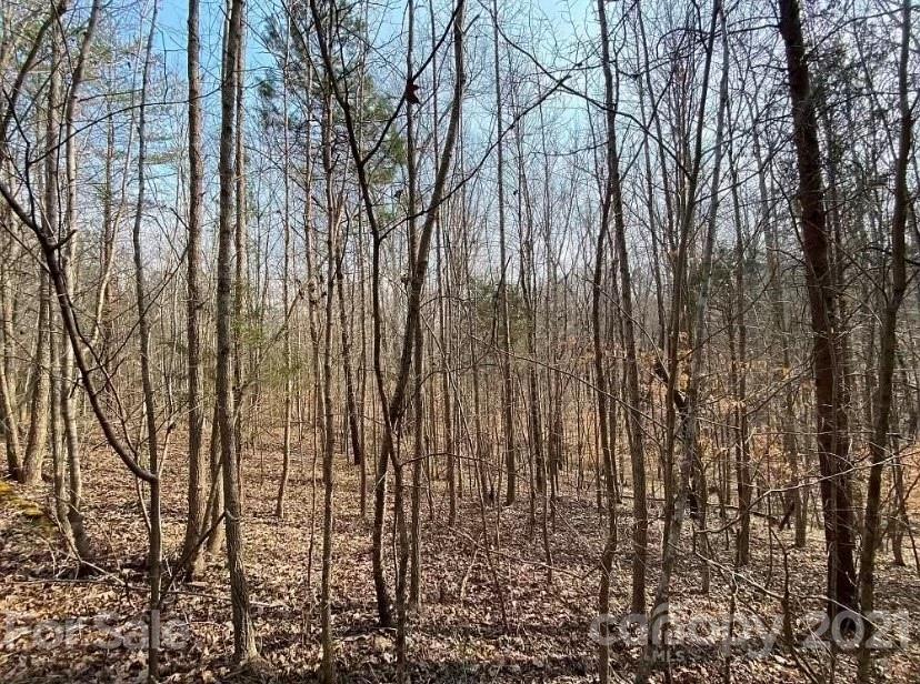 1585 Old Pinckney Road York, SC 29745 - Photo 14 of 24