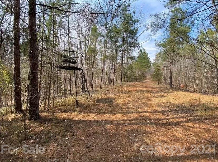 1585 Old Pinckney Road York, SC 29745 - Photo 15 of 24 a backyard of a house with lots of green space