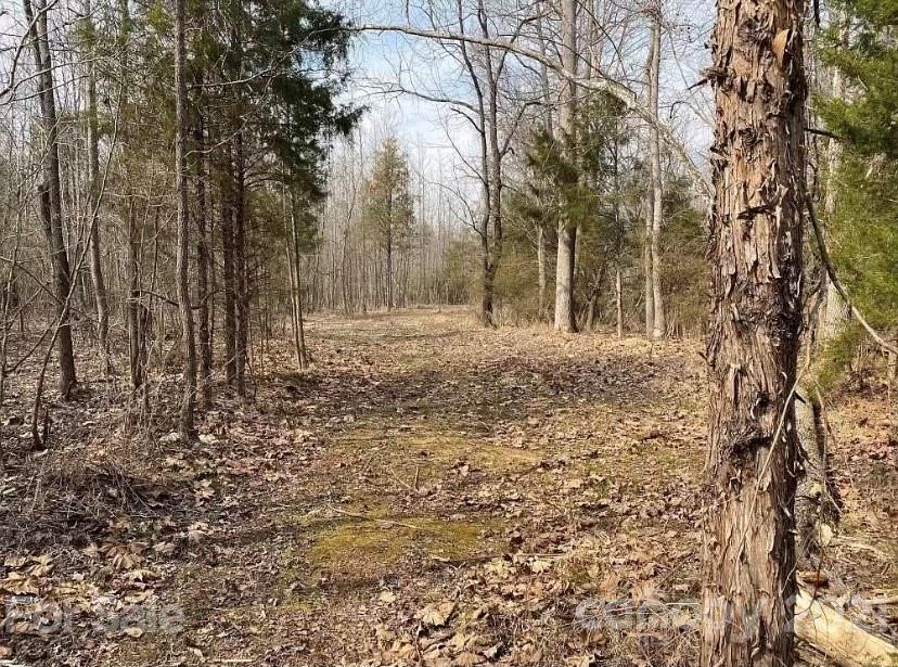 1585 Old Pinckney Road York, SC 29745 - Photo 16 of 24 a view of a yard with trees