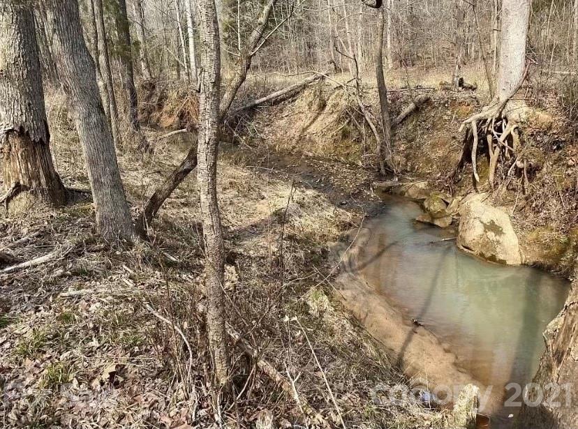 1585 Old Pinckney Road York, SC 29745 - Photo 20 of 24 a view of a lake with lots of trees