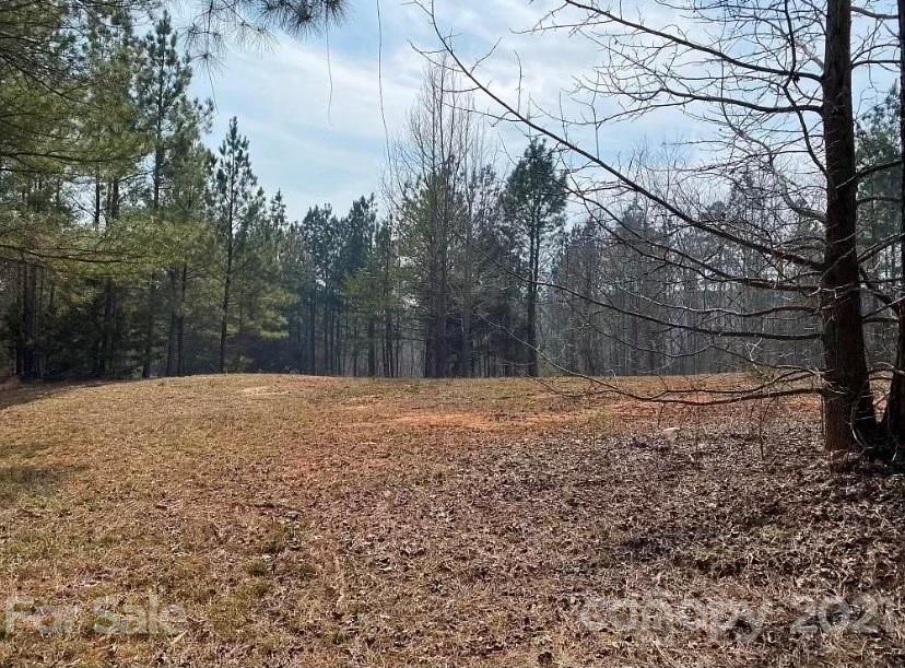 1585 Old Pinckney Road York, SC 29745 - Photo 3 of 24 a backyard of a house
