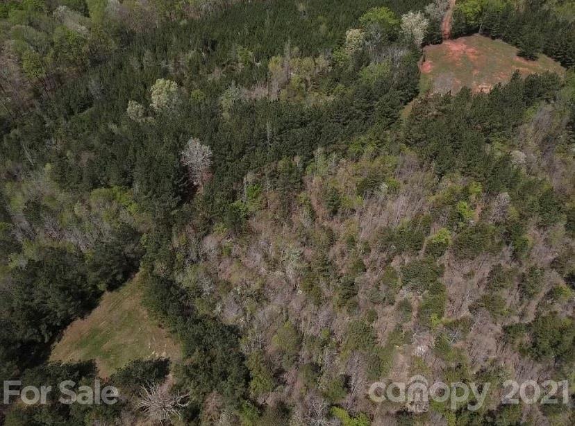 1585 Old Pinckney Road York, SC 29745 - Photo 23 of 24 a view of a dry yard with lots of bushes