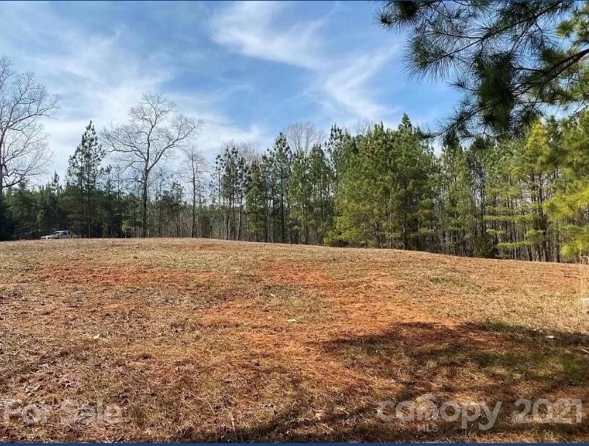 1585 Old Pinckney Road York, SC 29745 - Photo 4 of 24 a view of a yard