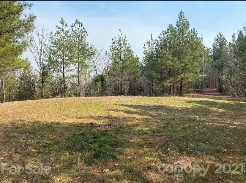 1585 Old Pinckney Road York, SC 29745 - Photo 5 of 24 a view of outdoor space with trees all around